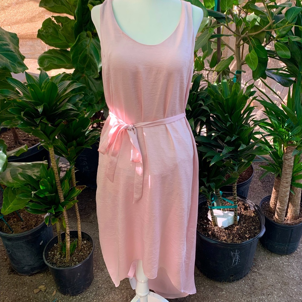 Express Dress Size S